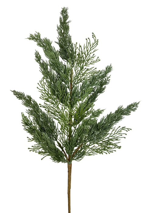 Cypress Pick 26" 86308SP26