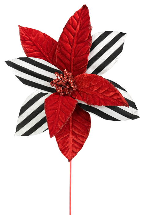 Stripe Poinsettia Stem 24in 86799RDBKWT