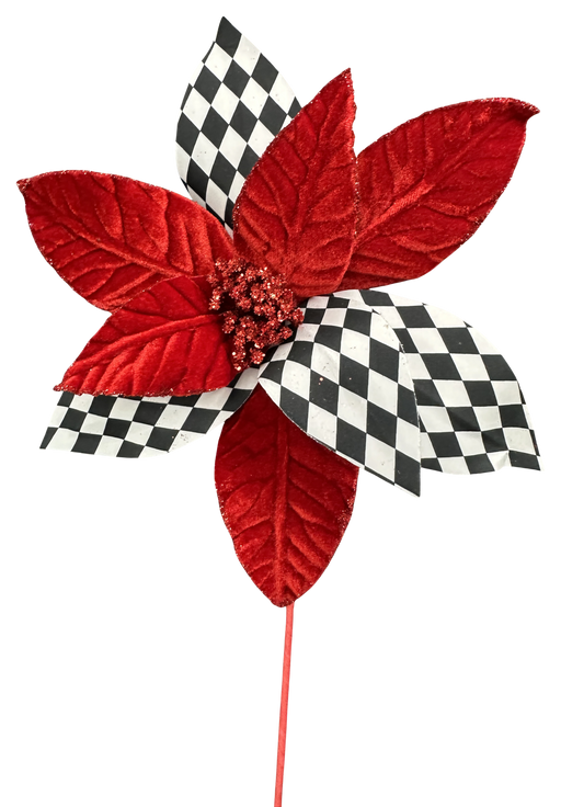 Harlequin Poinsettia Stem 24in 86800RDBKWT