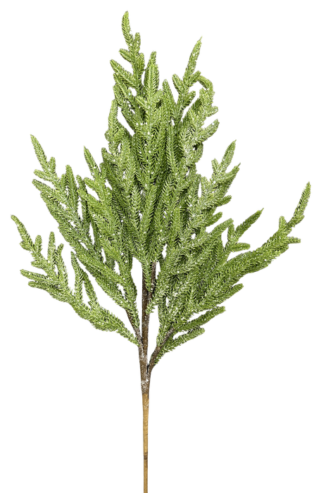 Norfolk Pine Spray H26 86821ICE