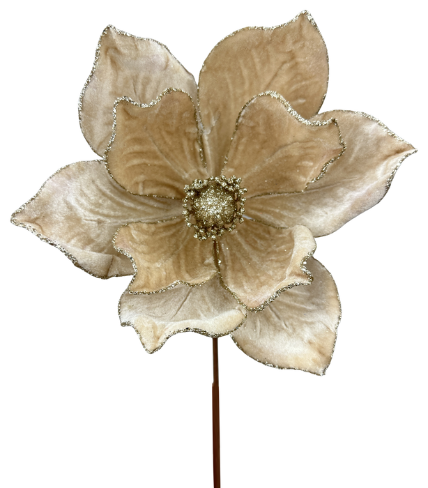 Magnolia Stem H8xDIA7 86868CH