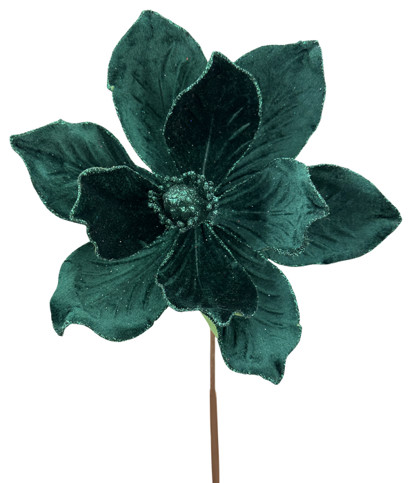 Magnolia Stem H8xDIA7 86868EMGN