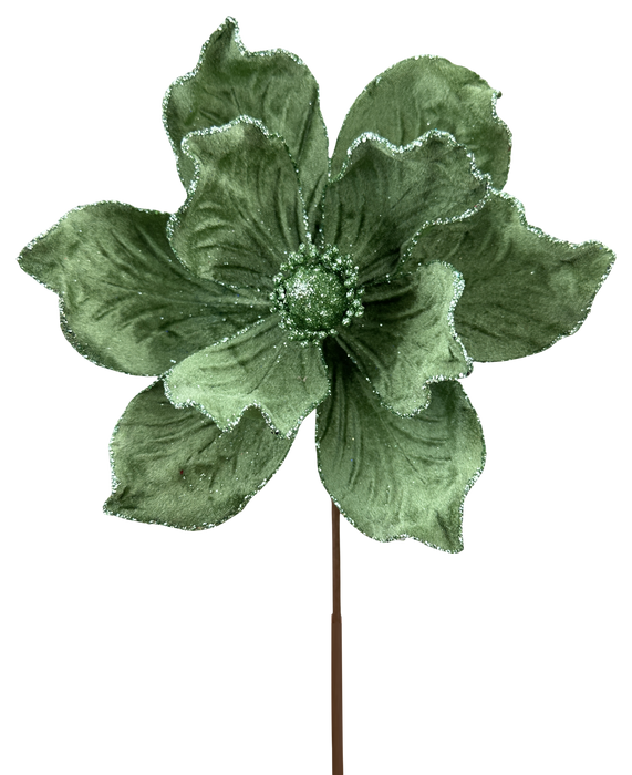 Magnolia Stem H8xDIA7 86868GN