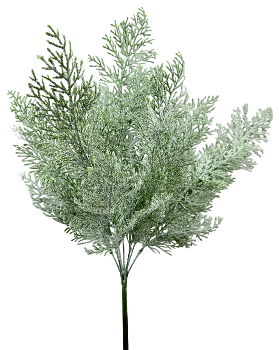 Cedar Bush x 7 H22 86934ICE