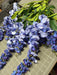 Wisteria Bush X 12 Blu 6Ea/40Z 19244 - DecoExchange®