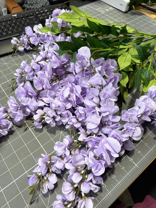 Wisteria Bush X 12 Lv 6Eaj4Dz 19243 - DecoExchange®