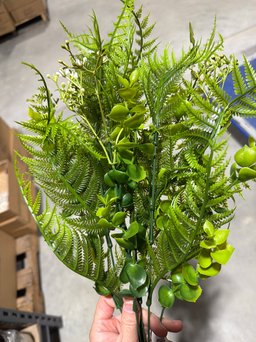 Pls Fern 8 Euc Mx X 7 Grn 12Dz 57661 - DecoExchange®