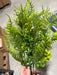 Pls Fern 8 Euc Mx X 7 Grn 12Dz 57661 - DecoExchange®