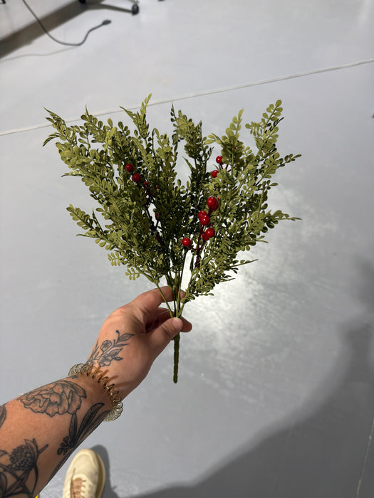 14in Bush-Country Maiden Fern with Red Berry IP511535