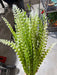 Plastic Fern Bush - 7 Stems - Cream - 59643 - DecoExchange®