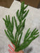 Xmas Pine Spray Green 60164 - DecoExchange®