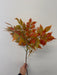 29.5"L Fabric Ficus Spray Orange/Green FG654132 - DecoExchange®