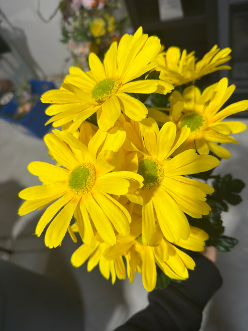 Daisy Bush X 12 H21 35025YW - DecoExchange®
