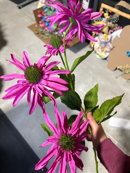 Echinacea X3 +2 Buds 29" MTF24100-PURP
