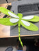 Dragonfly,D21.5In AC10529GR - DecoExchange®