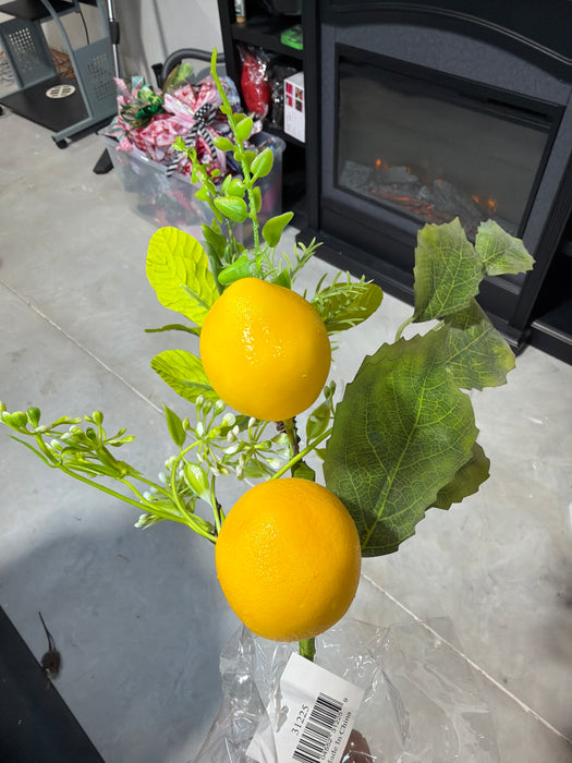 18In Bush-Lemon With Boxwood And Salal IP31225