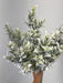 18" Snowed Tea Leaf Bush - 7 Stems 85286 - DecoExchange®