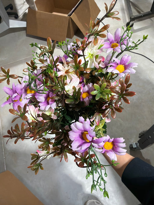 Daisy Mixed Bush X12 H20 63171LVPK - DecoExchange®