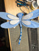 Dragonfly,D21.5In AC10529BL - DecoExchange®