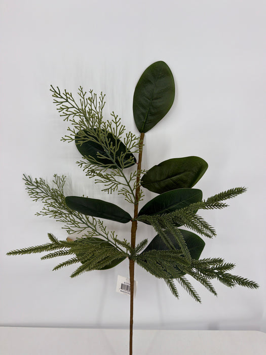 24in Spray-Magnolia Leaves w. Norfolk and Cedar Pines IP511135