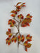 30In Boston Ivy Hanging PS2121S-YOG - DecoExchange®