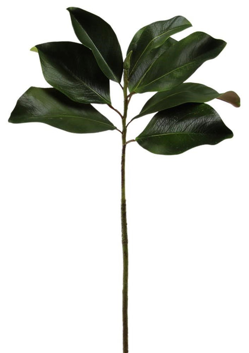 27"L Magnolia Leaf Stem Green FG5861