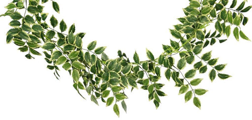 78"L Trumpet Creeper Leaf Garland Variegated Green/Yellow FG6105