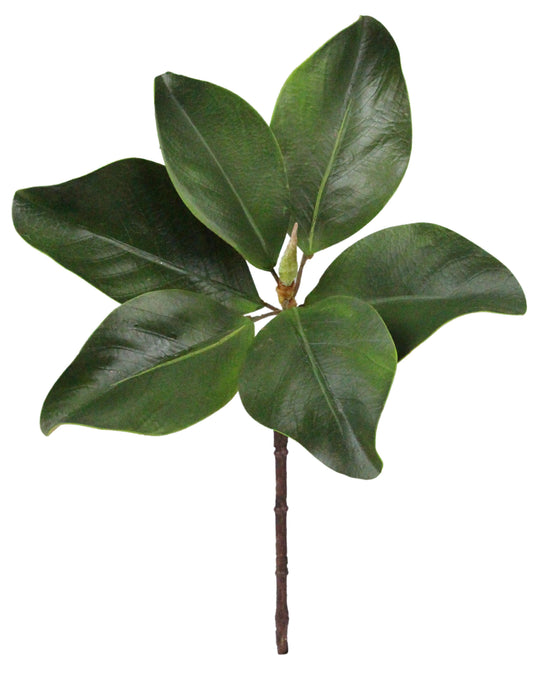 16"L Magnolia Leaf Pick Green FG6276