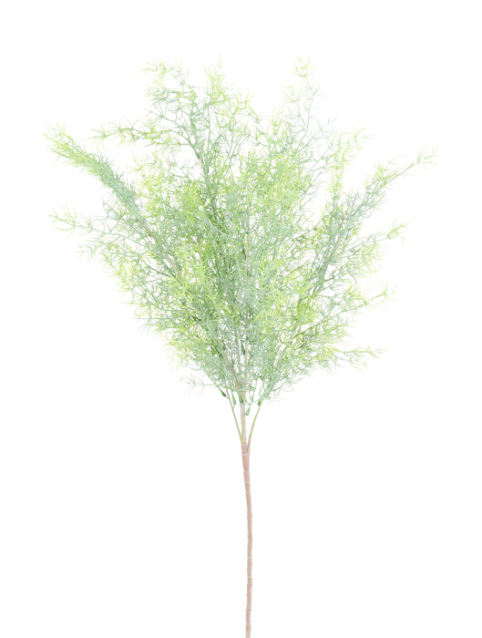 23"L Moss Fern Bush Light Green FG662732
