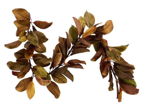 5'L Magnolia Leaf Garland Green/Brown FG664846