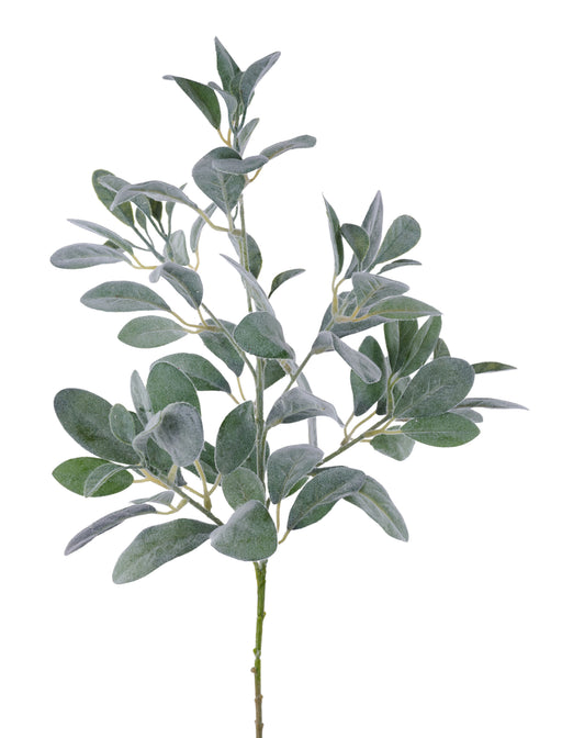 31"L Lambs Ear Spray Green FG667609
