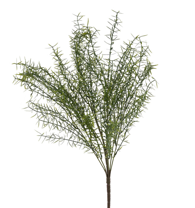 24.75"H Springeri Bush Dusty Lt Green FG670340