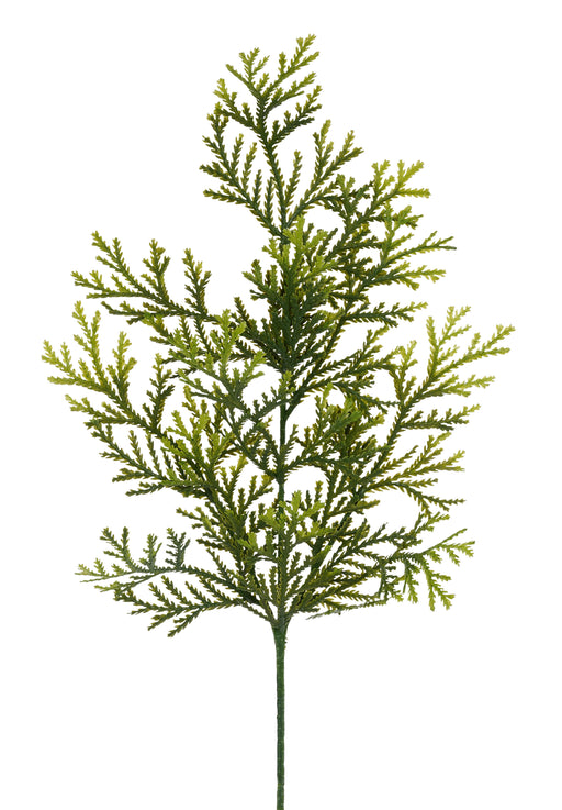 21"L Cypress Fern Spray Tt Green FG684630