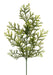 21"L Cypress Fern Spray Tt Green FG684630