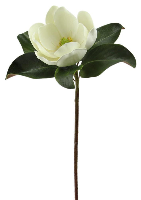 25"L Magnolia Stem White FH7937