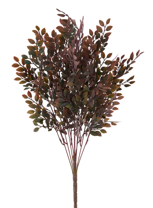 23"L Ruscus Bush Burgundy FP105705