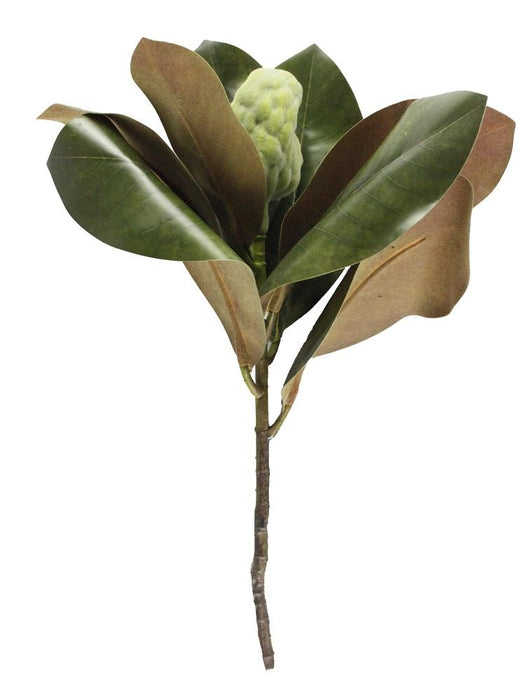 16"L Magnolia Leaf Bud Pick Two-Tone Green/Brown FS3354
