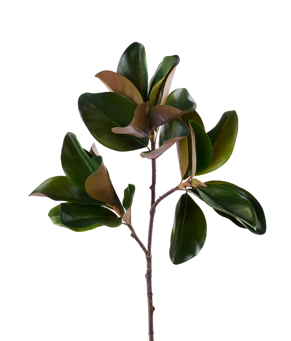 41"L Magnolia Leaf Branch Green/Brown FT181809