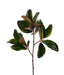 41"L Magnolia Leaf Branch Green/Brown FT181809