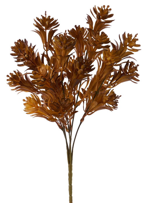 13"L Succulent Bush X5 Tan HA189031 - DecoExchange®