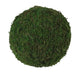 4" Dia Moss Ball Green KC1055