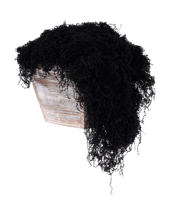 100G Fabric Moss In Bag Black MD175502