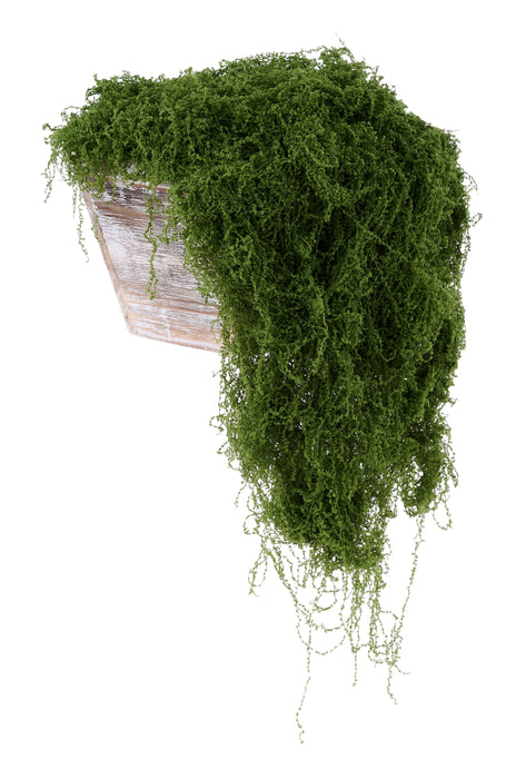 500G Fabric Moss In Bag Dark Green MD175631