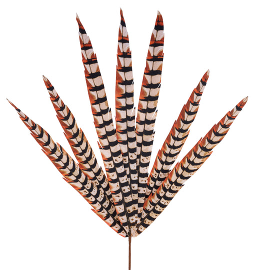 33"L Faux Pheasant Feather Spray X7 Cream/Black/Rust MJ0345F8