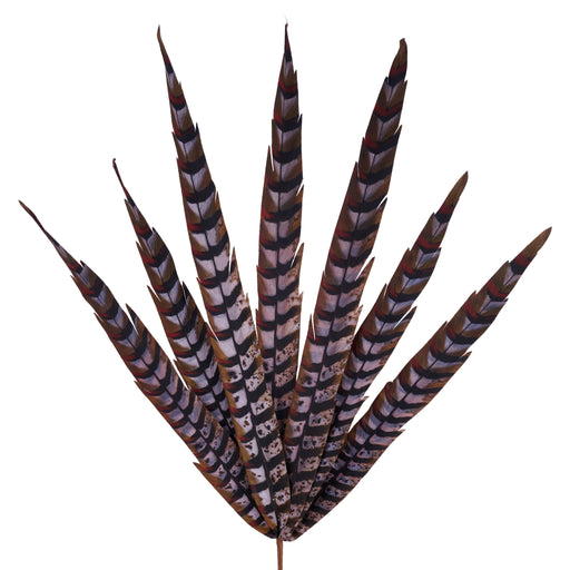 33"L Faux Pheasant Feather Spray X7 Beige/Black/Orange MJ0345F9