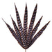 33"L Faux Pheasant Feather Spray X7 Beige/Black/Orange MJ0345F9