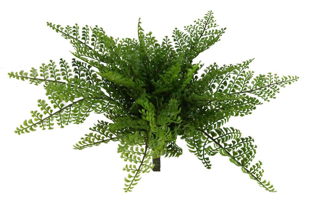 14"L Maidenhair Fern Bush Tt Green PF1704