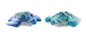 5.5"L X 4.75"W Bead/Glitter Turtle Orn 2 Asst Blue, Green XJ5247 - DecoExchange®