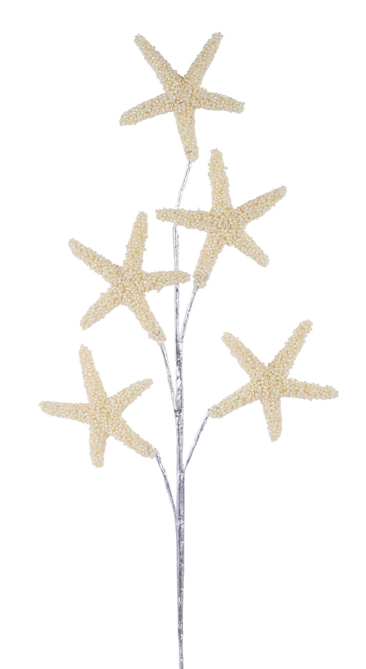 22.5"L Mini Pearl Starfish Spray Cream XS1548 - DecoExchange®
