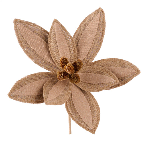 17"Dia Poinsettia Pick Natural XS413718